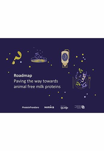 Paving the way towards animal free milk proteins