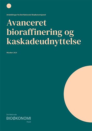 Anbefalinger: Avanceret  bioraffinering og kaskadeudnyttelse