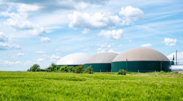 Gratis hjælp til biogasprojekter