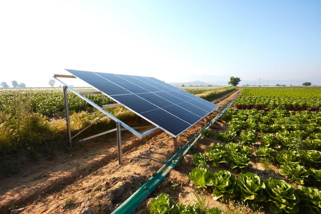 Grøn energiproduktion skal i højere grad integreres i landbruget til gavn for både klima og landmænd