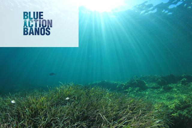 BlueActionBANOS